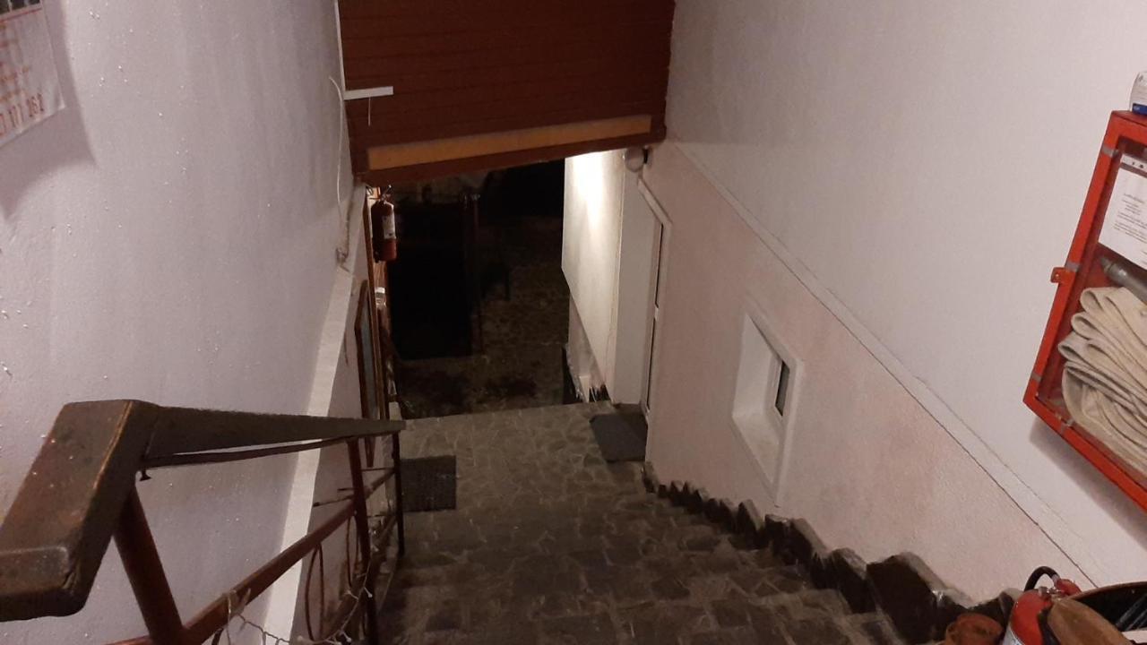 Casa Cristina_ Cabana Buşteni Eksteriør billede